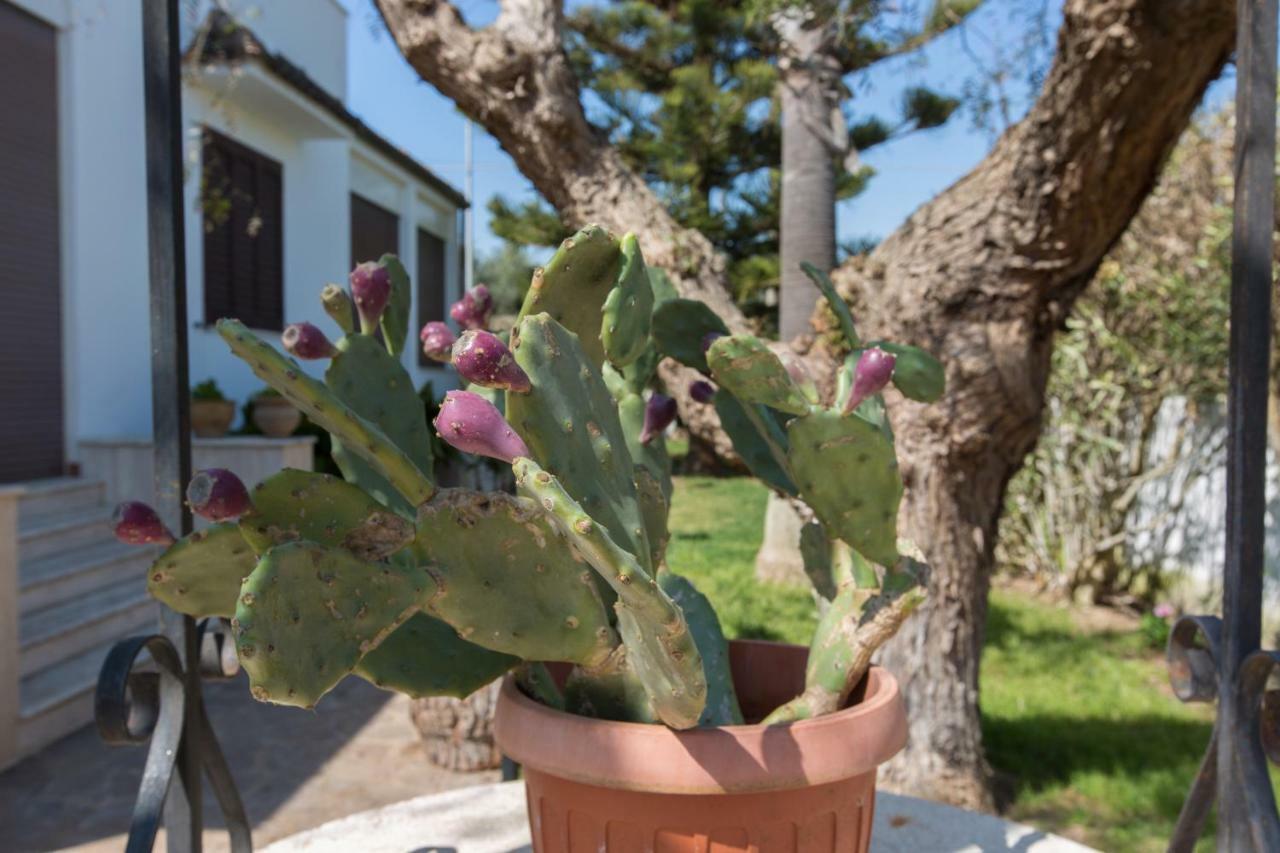 Villa Milu Torre San Giovanni Ugento Bagian luar foto